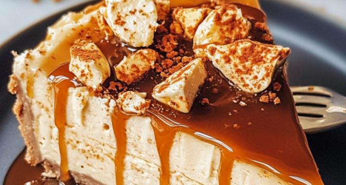 Lotus Käsekuchen – Veganer Käsekuchen ohne Backen
