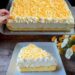 Fantakuchen mit Paradiescreme und 2 Dosen Mandarinen