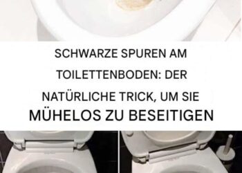 Wie entfernt man schwarze Flecken auf Toiletten