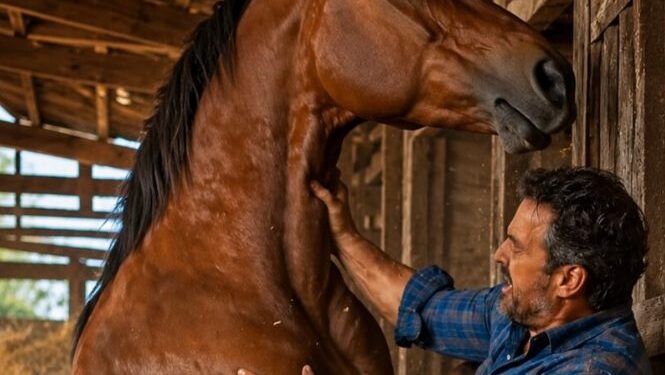 Ein Pferd griff seinen Besitzer an, der es von Geburt an aufgezogen hatte, und verletzte ihn beinahe: Der Mann war bereits überzeugt, dass das Pferd verrückt geworden sei, bis er den wahren Grund für sein seltsames Verhalten erfuhr.