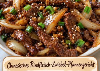 Chinesisches Rindfleisch mit Zwiebeln in würziger Soße